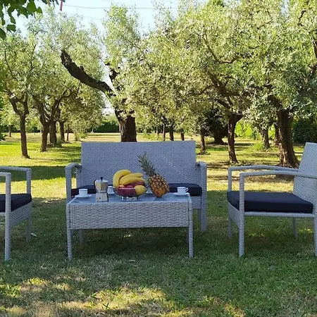 Holiday home Casolare L'antico Olivo *