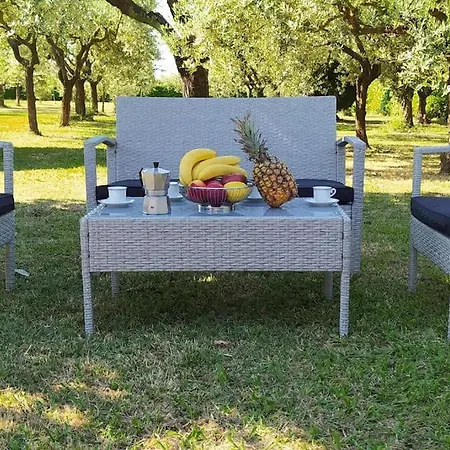 Casolare L'antico Olivo Holiday home