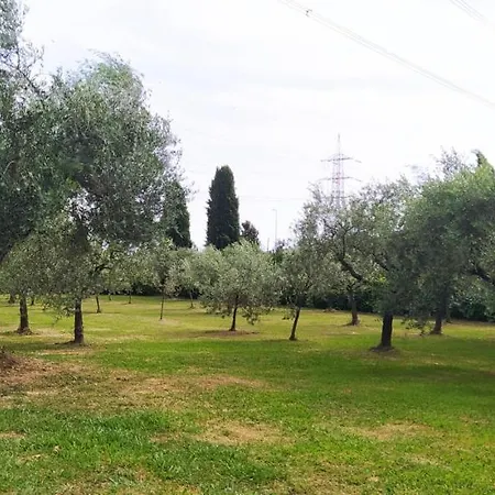 Casolare L'antico Olivo * Chiesina Uzzanese