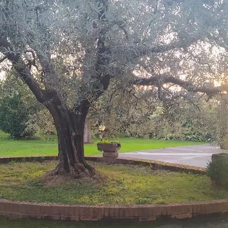 Casolare L'antico Olivo Holiday home *